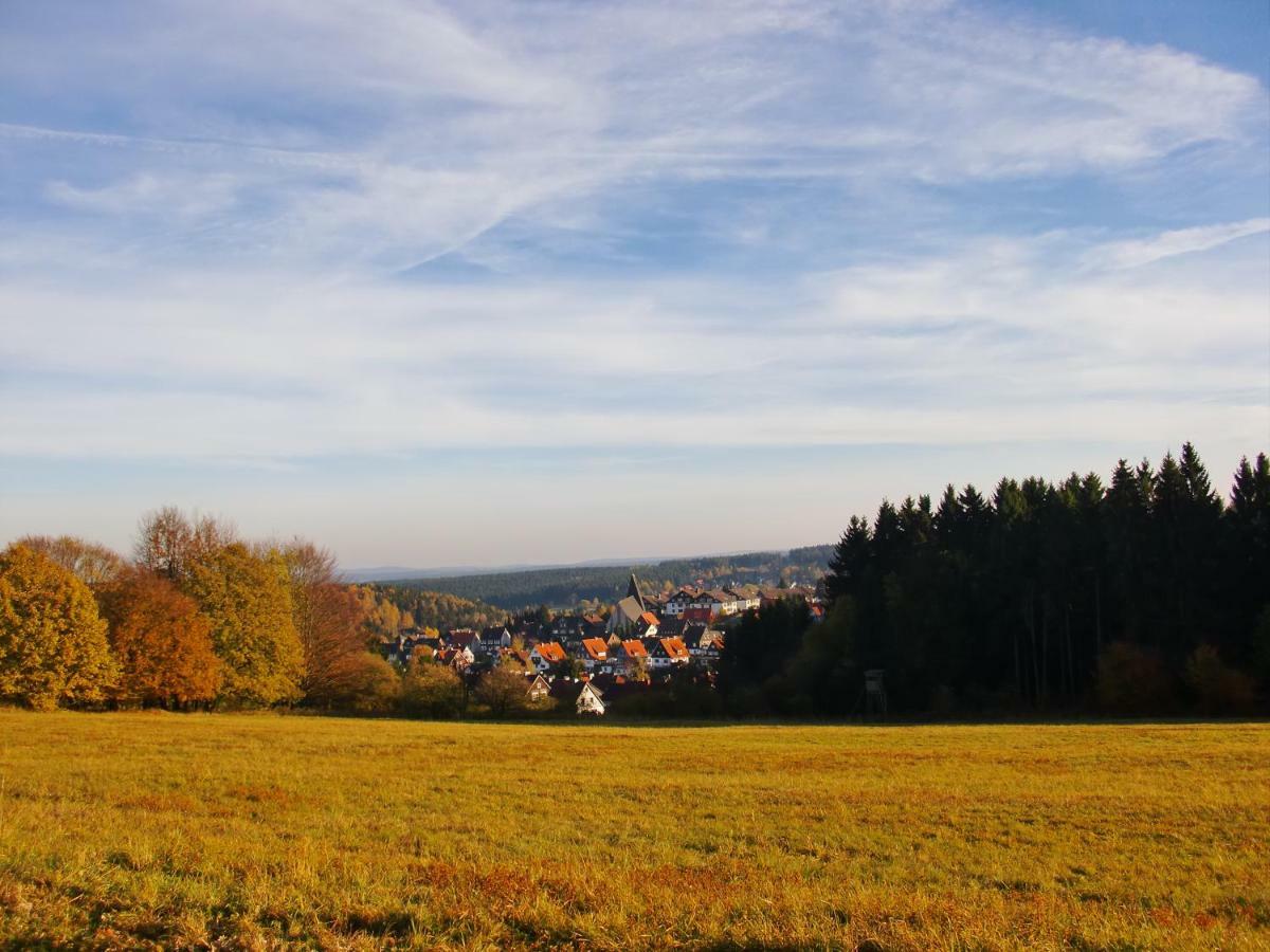 Ferienwohnung Arnika Inklusive Waeschepaket Браунлаге Экстерьер фото